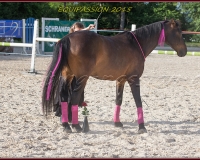 2-13JUIN 0088
